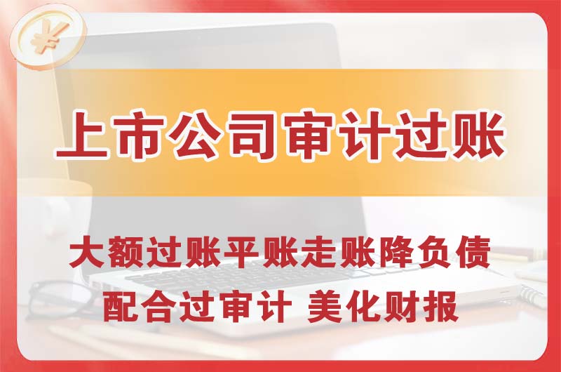 河源上市公司审计过账